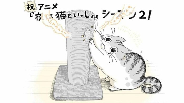 Bìa Anime ‘Đêm cùng Mèo’ Được Dự Kiến Phát Sóng Phần 2 vào Năm 2023