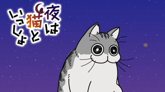 Bản Giới Thiệu của Anime ‘Nights with a Cat’ Dự Kiến Mô Tả Hành Vi Không Đều của Một Con Mèo Nhà bìa