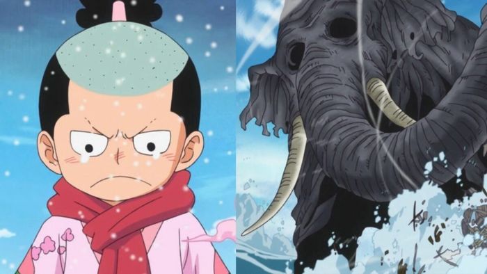 One Piece: Liệu Momonosuke có vượt qua được cha mình, Kozoki Oden không? 