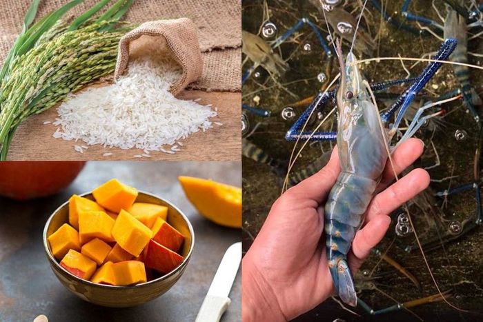 Cháo tôm càng xanh cho bé với bí đỏ