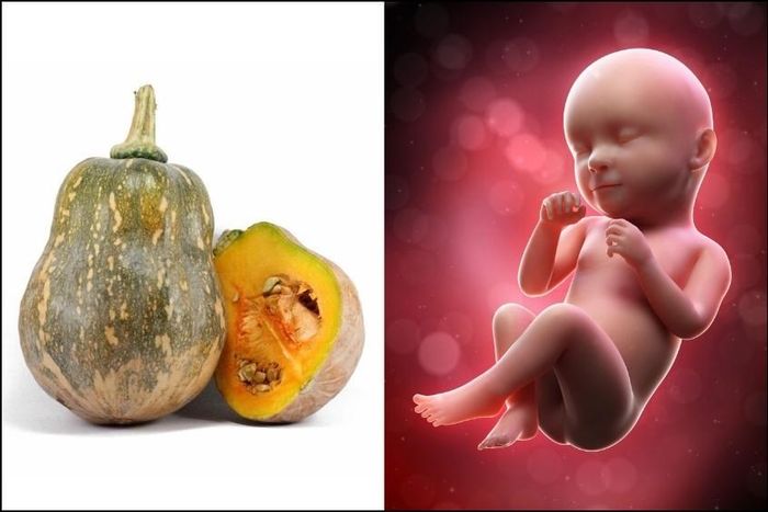 Kích thước của thai nhi 35 tuần tương đương với một quả bí nghệ