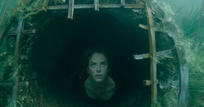 Crawl (2019)