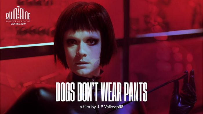 Ánh Mắt Đầy Kinh Hoàng của Dogs Don’t Wear Pants