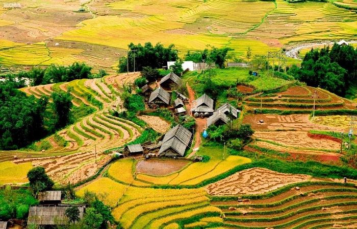 Thung lũng Mường Hoa - Bãi đá cổ Sapa