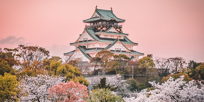 Một buổi chiều hoàng hôn đẹp lòng người ở Osaka.