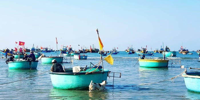 Làng chài Mũi Né là nơi tốt nhất để cảm nhận cuộc sống của người dân làm nghề biển.