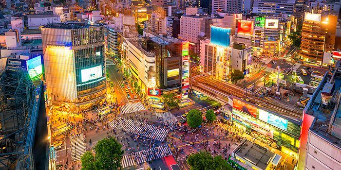 Tokyo là một trong những thành phố năng động nhất Châu Á.