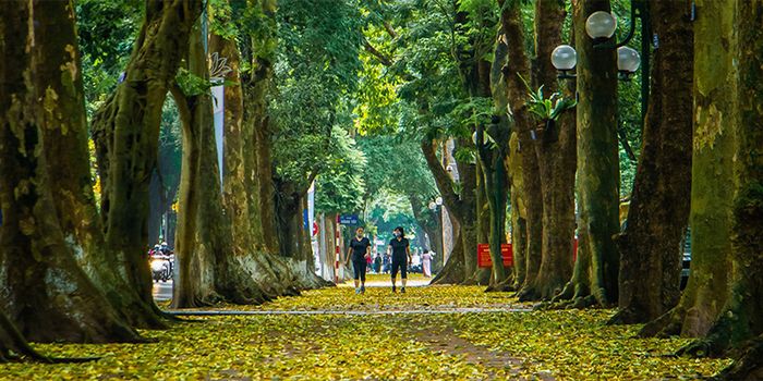 Phan Đình Phùng - Một trong những địa điểm hẹn hò lãng mạn ở Hà Nội