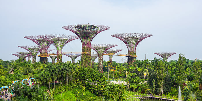 Những dãy cây khổng lồ là điểm nhấn đặc biệt tại Vườn hoa Gardens by The Bay.