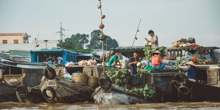 Trải nghiệm hình ảnh họp chợ trên dòng sông mới lạ khi đến chợ nổi Cái Răng.