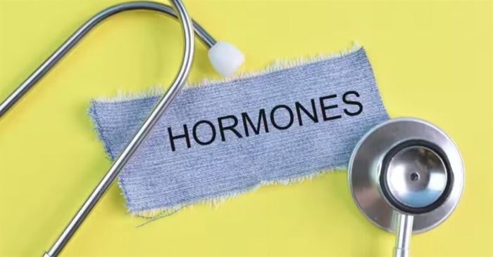 Thay đổi hormone khi mang thai có thể gây ra ợ nóng cho bà bầu