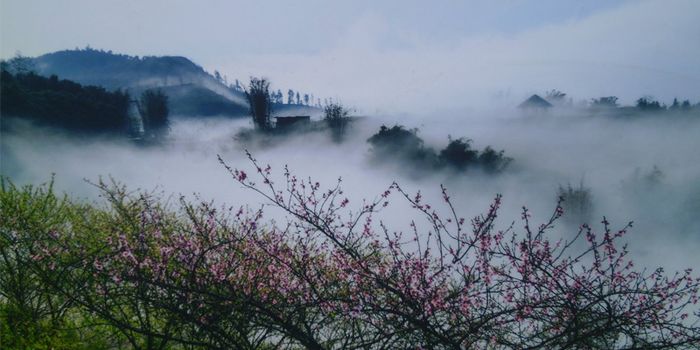 Săn mây hững hờ trên đỉnh Fansipan