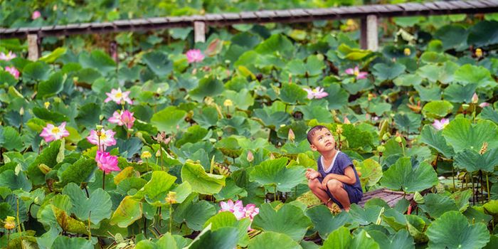 Chuyến du lịch Đồng Tháp