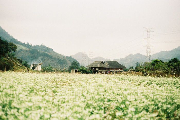 Mộc Châu vào tháng 12