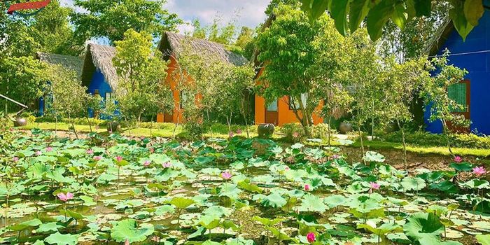 Vĩnh Long có những homestay mang đậm bản sắc sông nước