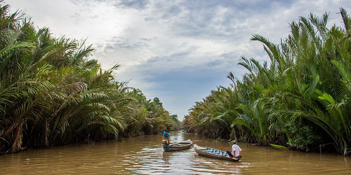 Cần Thơ là điểm đến lý tưởng cho du lịch tại Tây Nam Bộ.