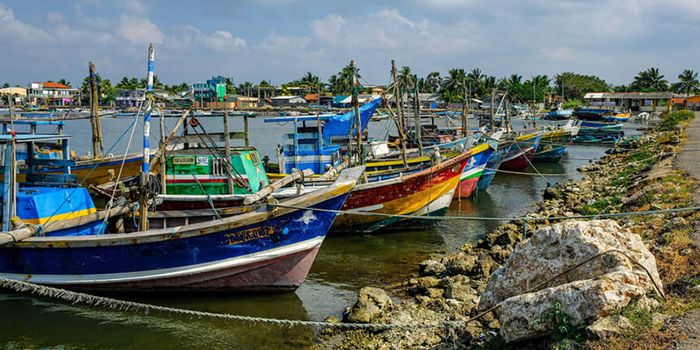 Thành phố Jaffna, Sri Lanka