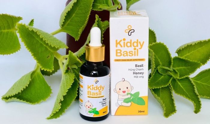 Tinh dầu húng chanh Kiddy Basil