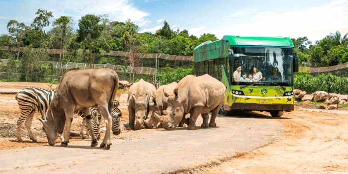 Vinpearl Safari Phú Quốc với nhiều loài động vật quý hiếm trên thế giới