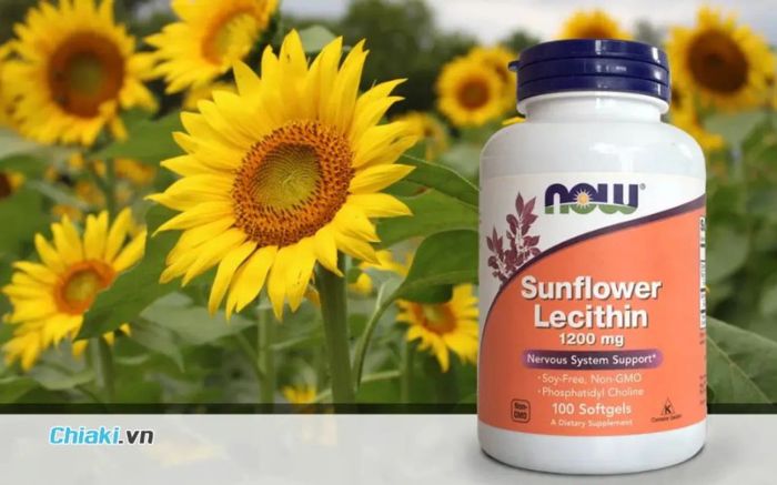 Viên uống Now Foods Sunflower Lecithin hỗ trợ ngăn chặn tắc tia sữa