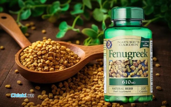 Viên uống hỗ trợ lợi sữa Fenugreek Nature’s Garden