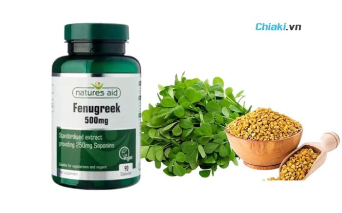 Viên uống hỗ trợ lợi sữa Fenugreek Natures Aid 500mg của An