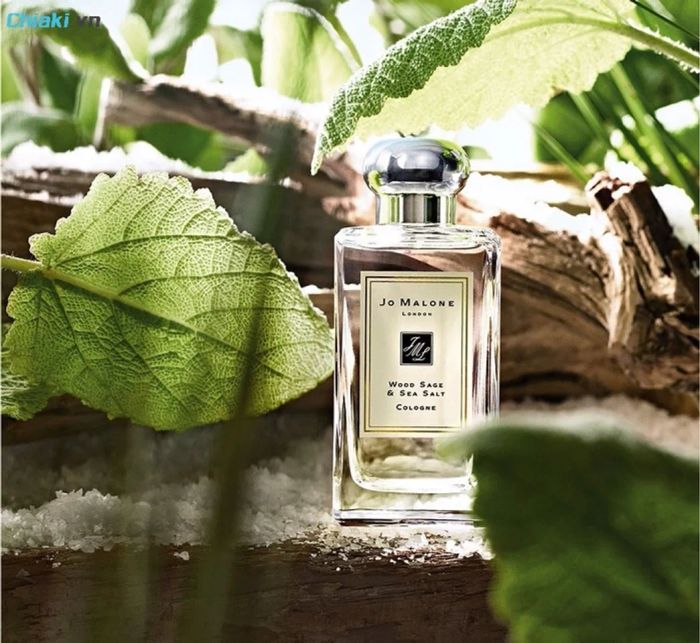 Nước hoa Thiết kế Jo Malone Wood Sage & Sea Salt mang hương thơm của biển cả và rừng xanh