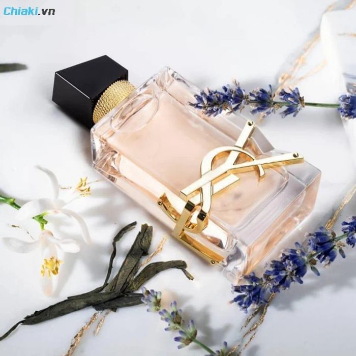 Nước hoa Yves Saint Laurent Libre EDP quyến rũ người đối diện