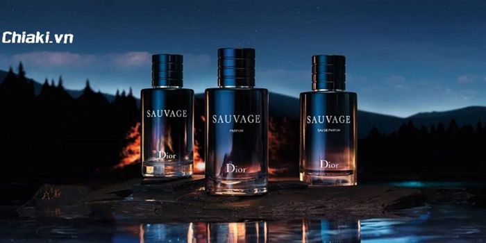 Tổng quan về dòng nước hoa Dior Sauvage