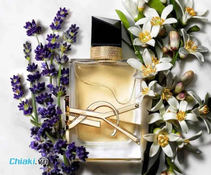 Nước Hoa Nữ YSL Libre EDP