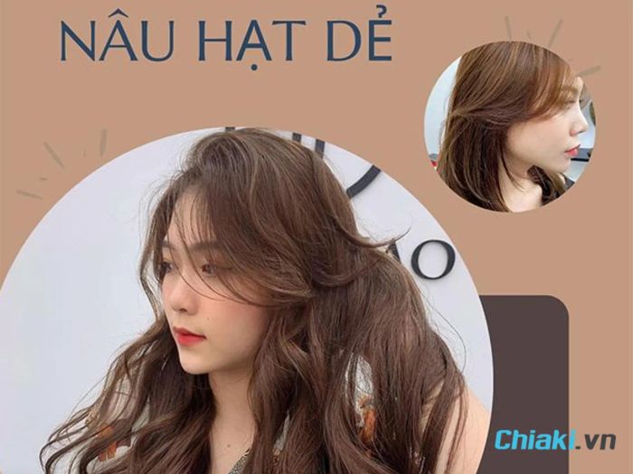 Màu của hạt dẻ là sự pha trộn giữa sắc nâu và đỏ