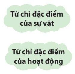 Câu hỏi số 2