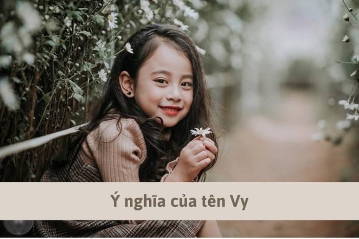 Những ý nghĩa đẹp của tên Vy