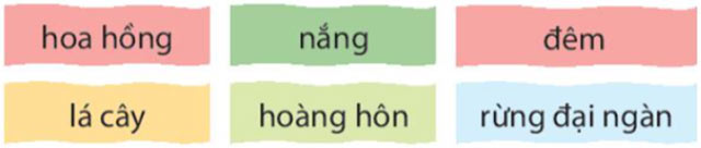 Vẽ màu