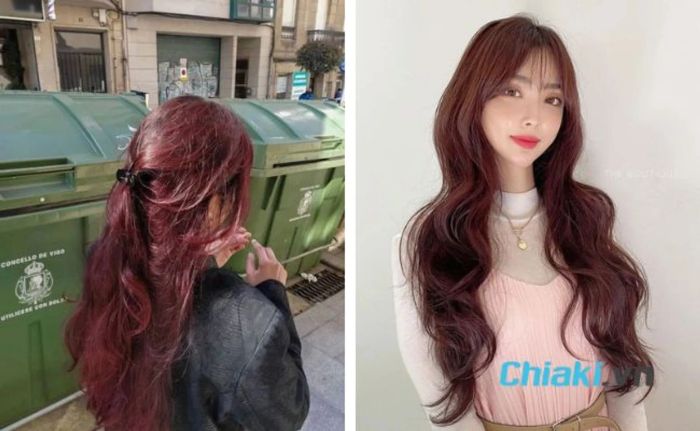 Nhuộm tóc không cần tẩy màu phúc bồn tử