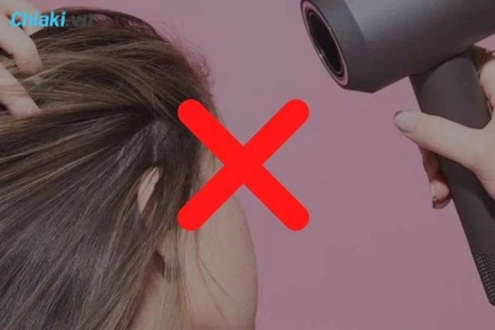 Top màu tóc nhuộm không cần tẩy cho phái đẹp năm 2024