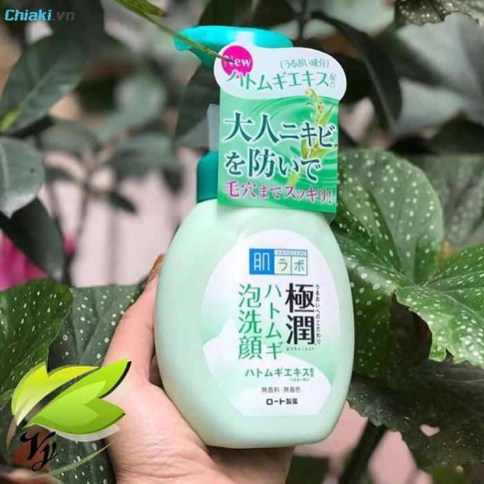 Sữa rửa mặt Hada Labo Gokujyun Hatomugi Foaming Wash màu xanh lá 