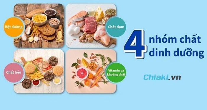 Tinh bột: Nhóm chất dinh dưỡng không thể thiếu khi cung cấp năng lượng cho cơ thể. Khi đang giảm cân bạn cũng không nên loại bỏ hoàn toàn tinh bột ra khỏi chế độ ăn. Tuy nhiên, khi giảm cân bạn nên cân nhắc chọn những tinh bột tốt như gạo lứt, yến mạch, khoai lang, bánh mì đen, nui,...