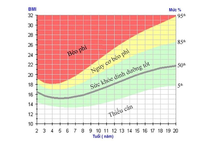 Chỉ số BMI giúp đánh giá tình trạng thừa cân của trẻ