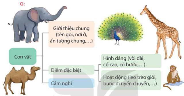 Câu hỏi số 1