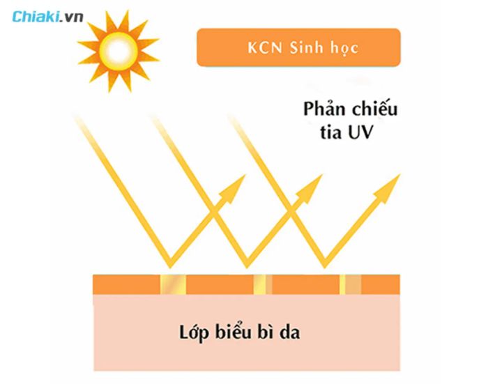 Kem chống nắng sinh học hoạt động dựa trên cơ chế phản quang