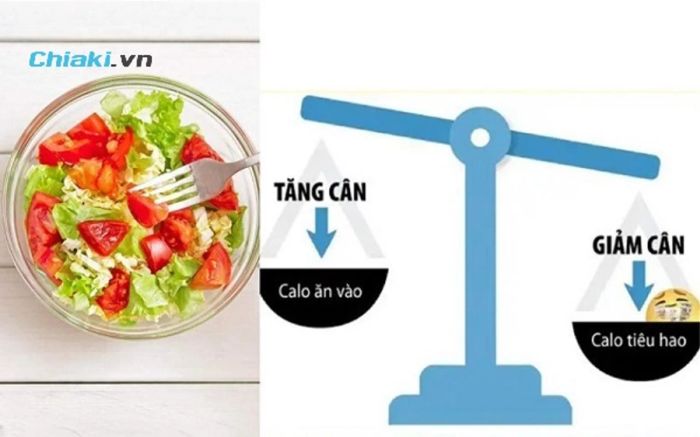 Lượng calo nạp vào ít hơn lượng calo tiêu thụ (calo in < calo out)