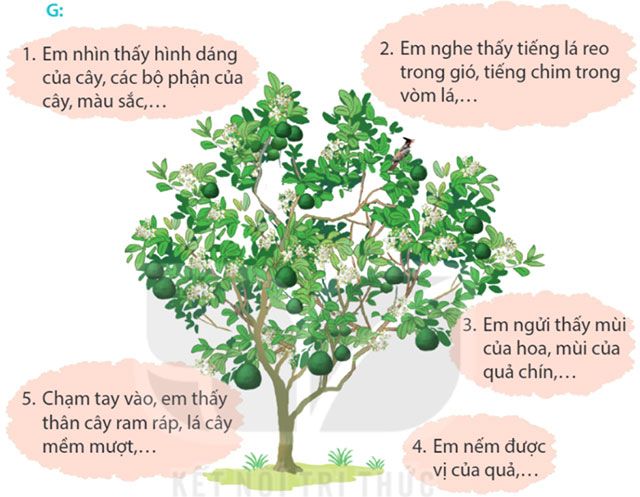 Câu hỏi số 1