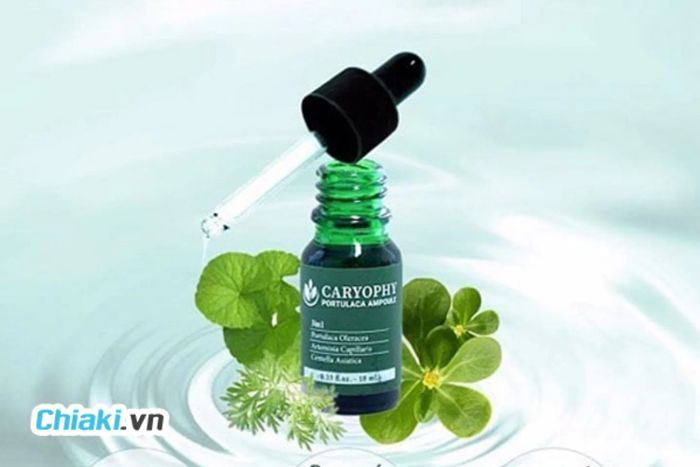 Thành Phần Chính Trong Serum Caryophy