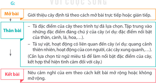 Câu hỏi 2