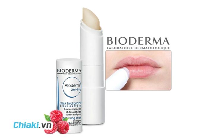 Son Dưỡng Môi Trị Thâm Bioderma Atoderm Levres Stick Hydratant