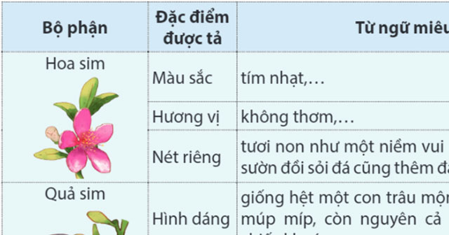 Hướng dẫn viết bài văn miêu tả về cây cối