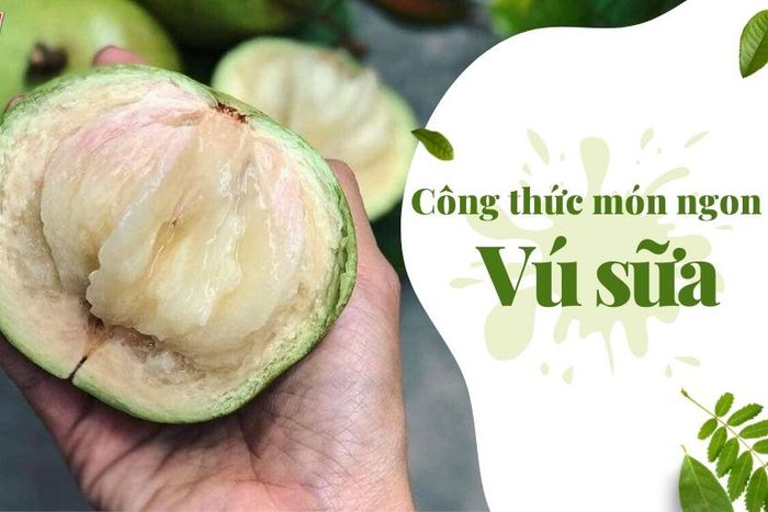 Món ngon từ vú sữa