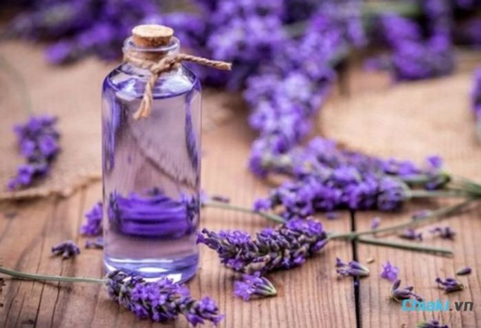 Mùi hương của Lavender trong nước hoa có thể giúp bạn thư giãn