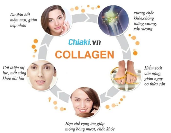 Tầm quan trọng của việc bổ sung collagen